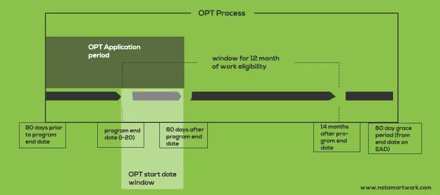 OPT process