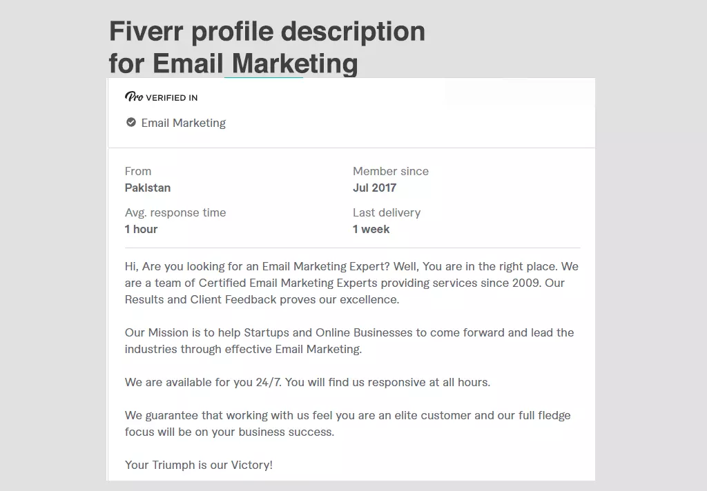 Fiverr profile description for Email Marketing